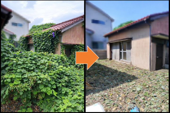 作業前と作業後。雑草やツタをすべて除去し，家の周りがキレイに。
